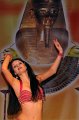 Galashow2010   050
